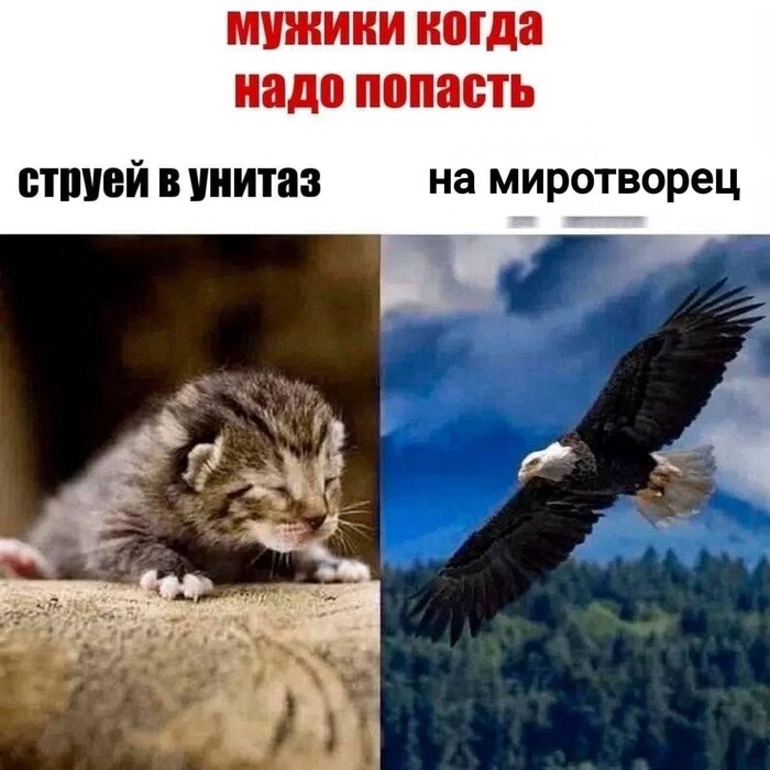 ���������� ������ ������� ������
