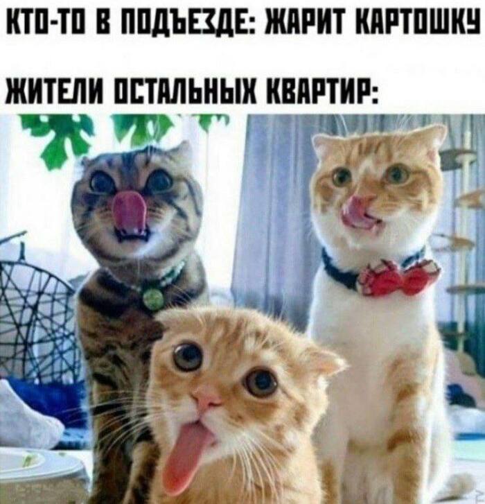 Ето я жарю