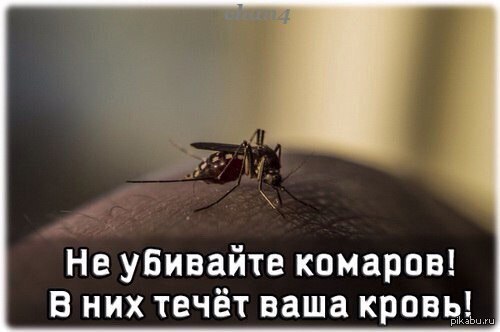 ..STOP