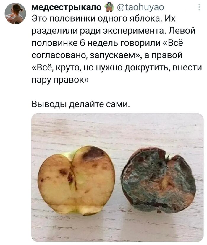 Отправьте это своим клиентам…