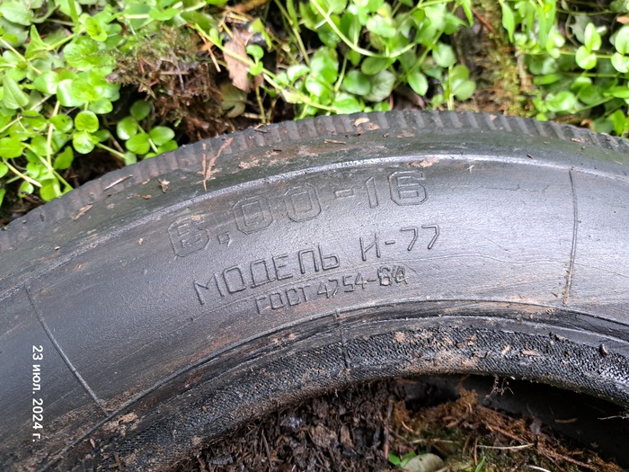 6.00-16 ������ �-77