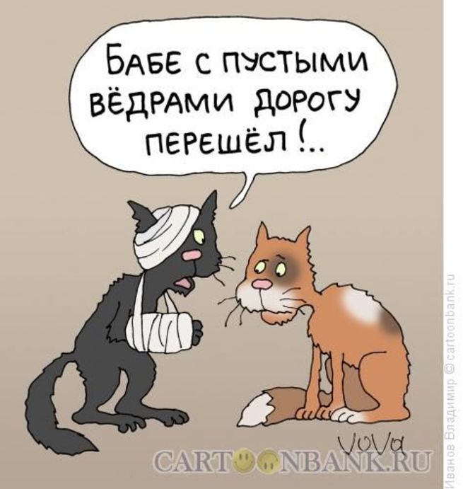 � � ���� ������������