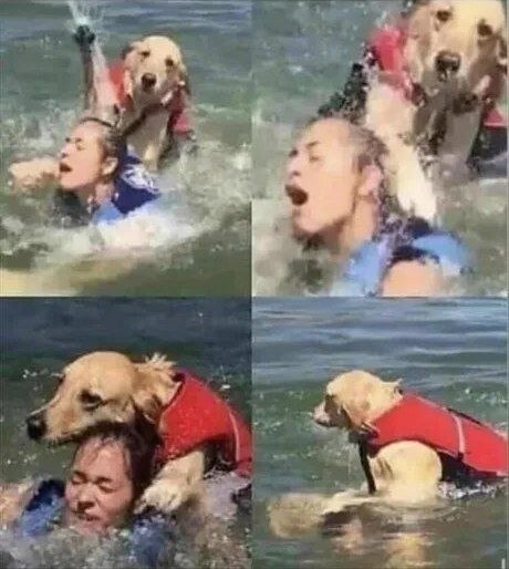 ����� ���� ������� �� ������ "�������-����������", �� �� ������ � ������
