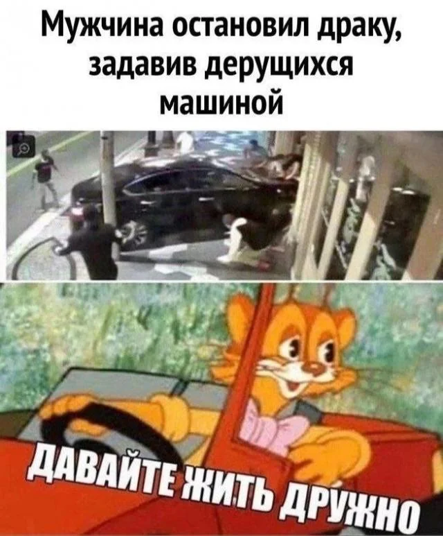 Let's live in peace - Picture with text, Memes, let's live in peace, Leopold the Cat, Auto, Strange humor, Hardened