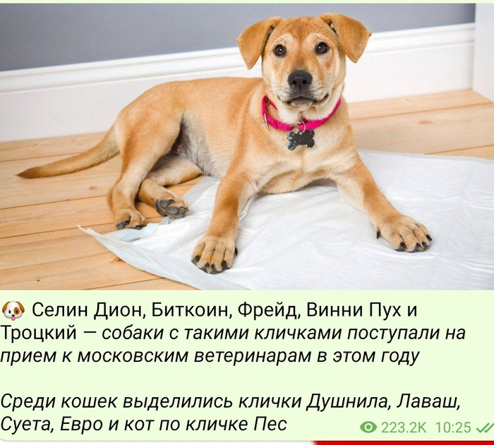 ��� ����� ����� ������...