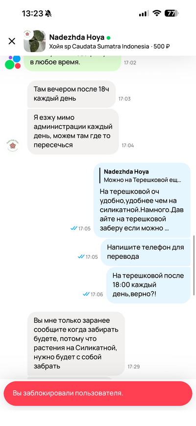 Иллюстрация к комментарию
