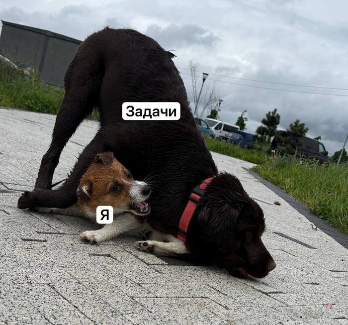 Мем с Теей)
