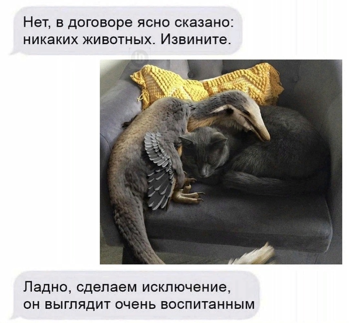 DED