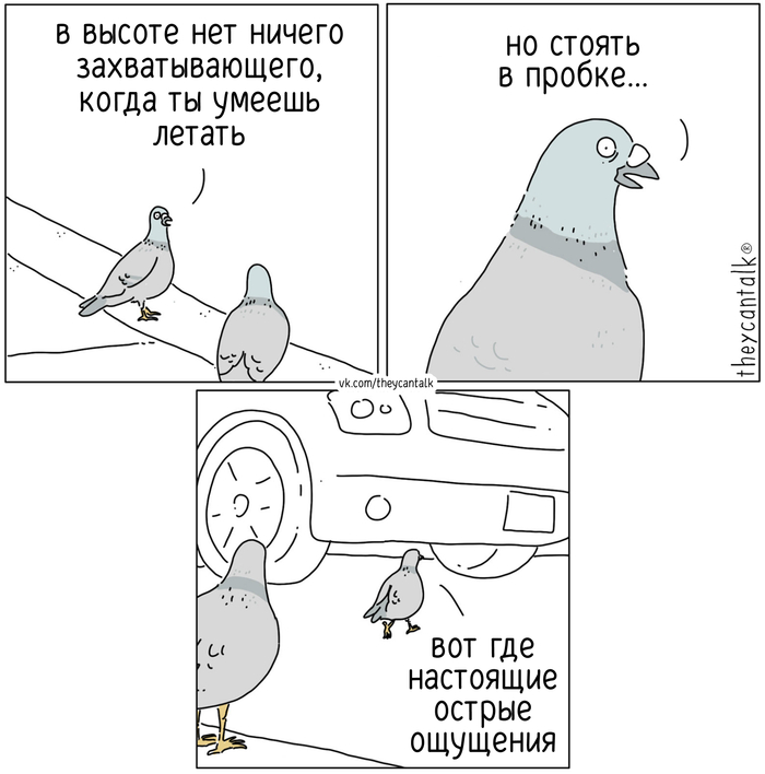 Погоня за адреналином
