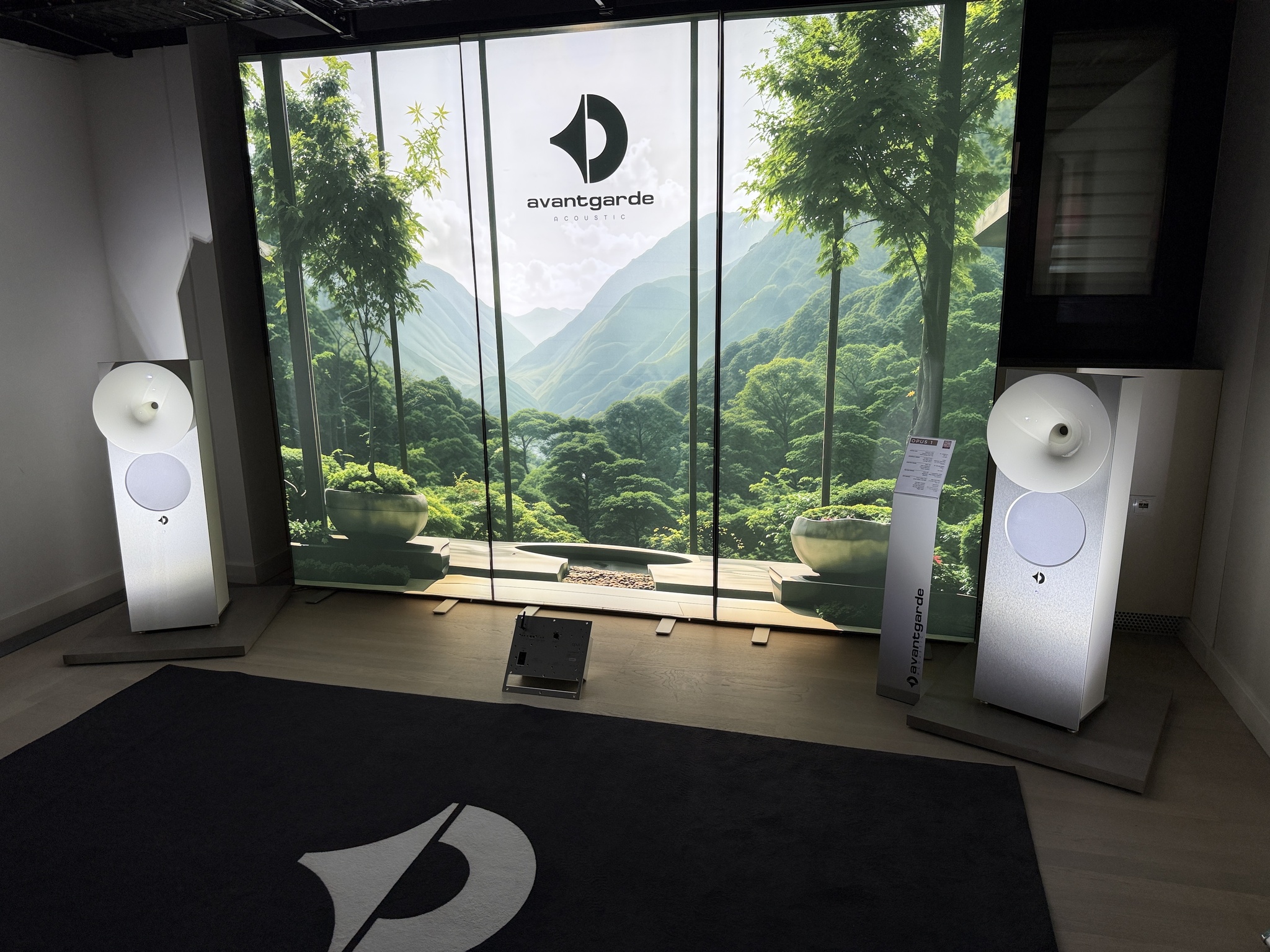 Another batch of photos from the HIGH END Vienna 2026 exhibition - Series HIGH END Vienna 2026, Audio, Vinyl, Hi-fi, Exhibition, Longpost