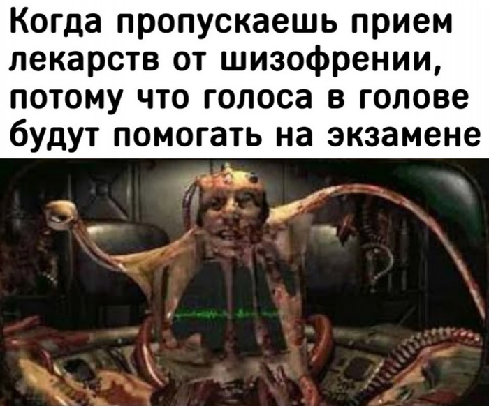 А на какие-то профессии не допускают учиться с шизофренией