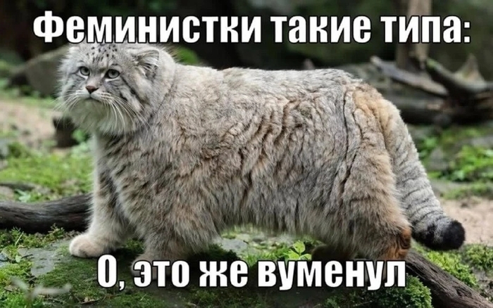 ��������� ������