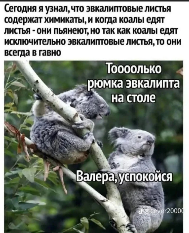 spacer.png