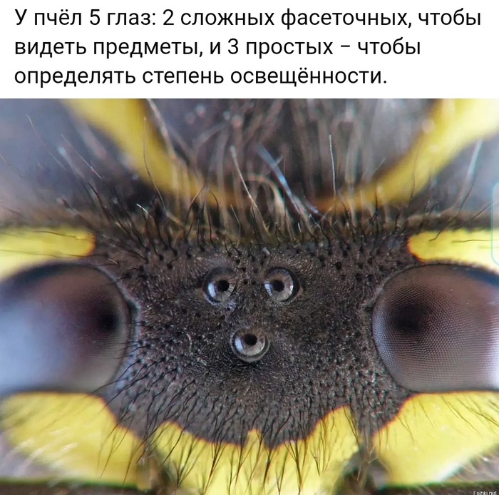 �� �����?