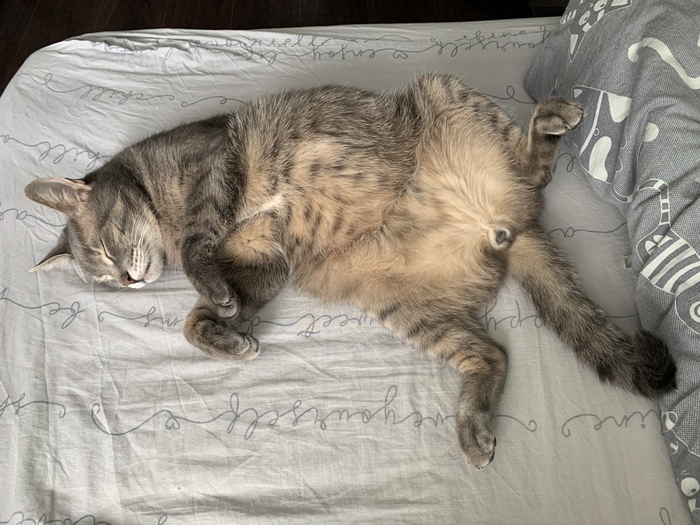 Forever Sleeping!