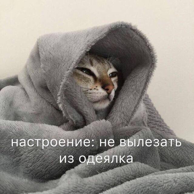 ��������� ����������
