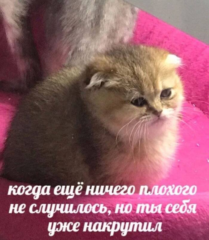 Когда проблем нет, но ты человек ответственный и создаешь их заранее