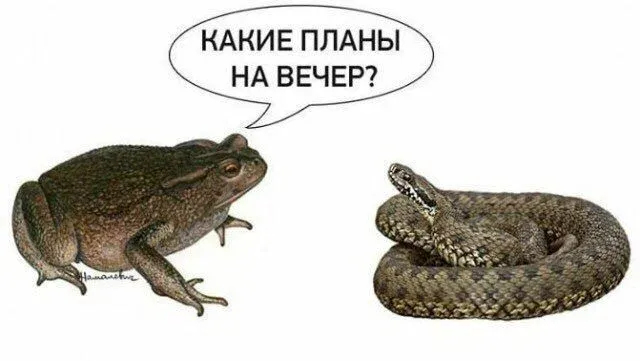 ��������� � ��������� ���������. �������� �������� � ������� �� ������