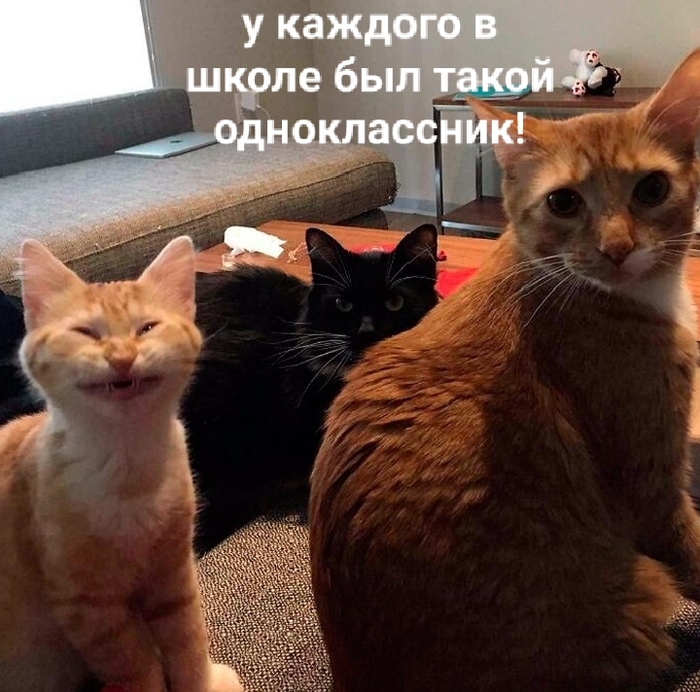Немного юмора