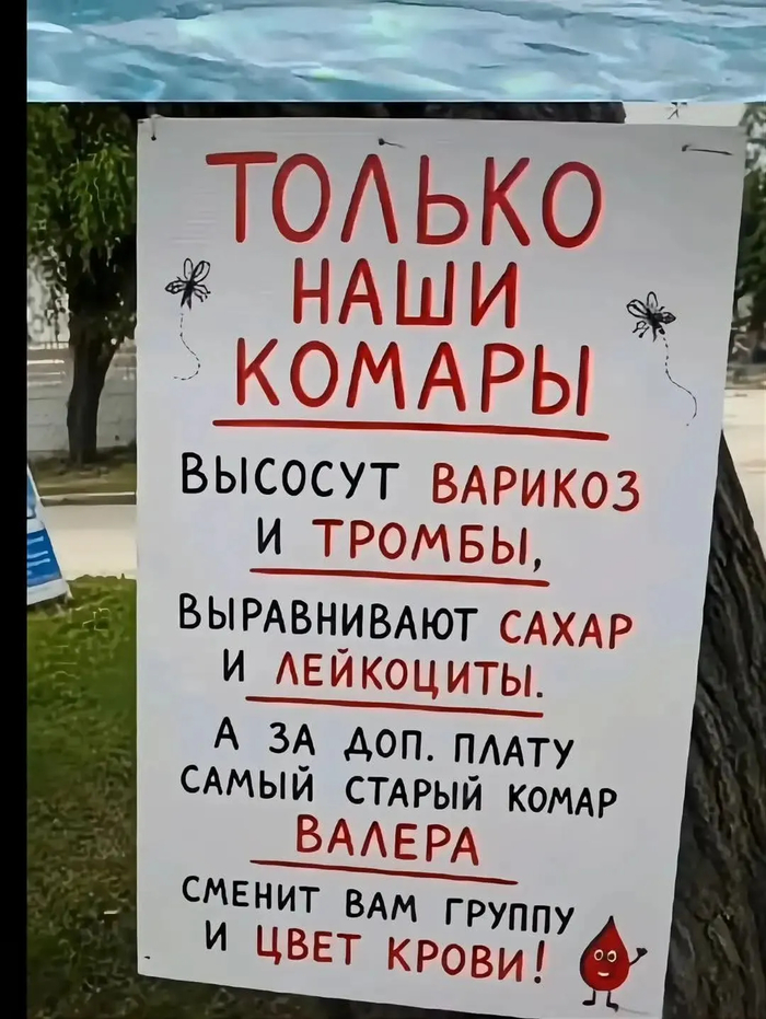 ������ � ������...