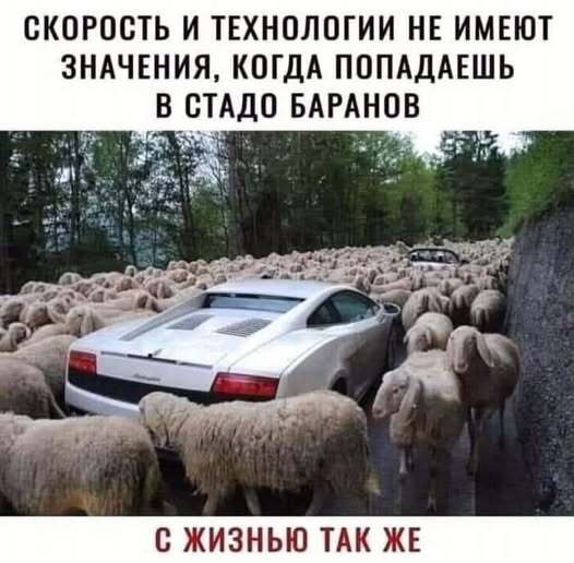 С жизнью так же!?