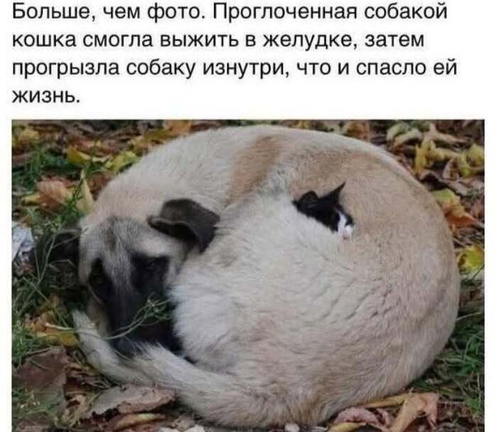 Ужас!
