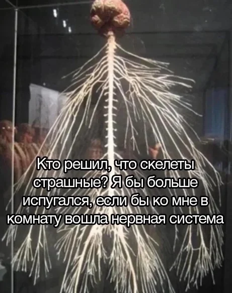 Memes to everyone's feed - Series Memes
, Humor, Picture with text, Memes, Strange humor, Longpost
