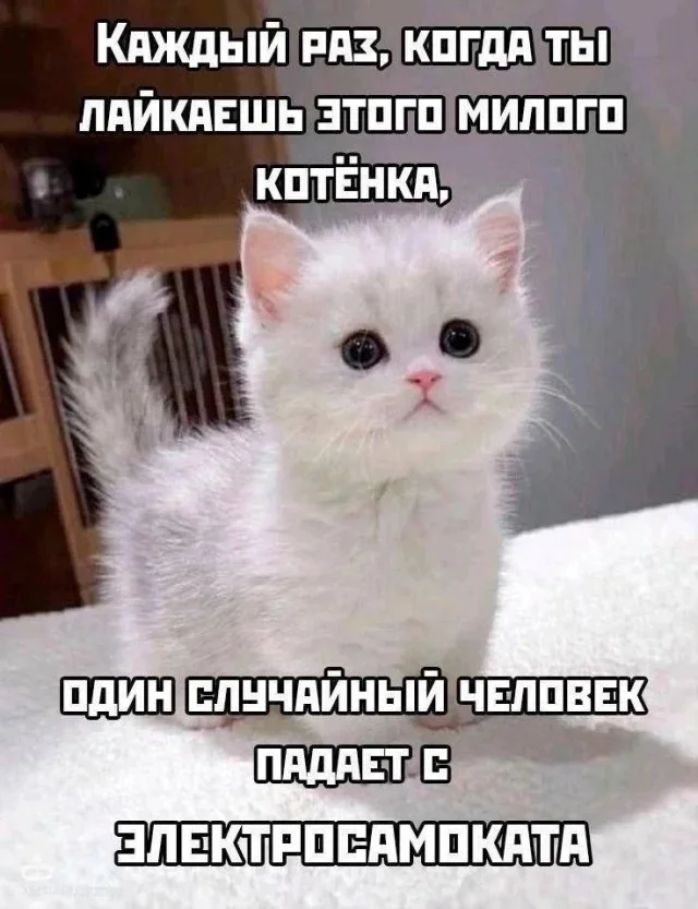 Here are the memes - Series Memes
, Humor, Picture with text, Memes, Strange humor, Longpost