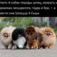 ������ ������������ stenmir
