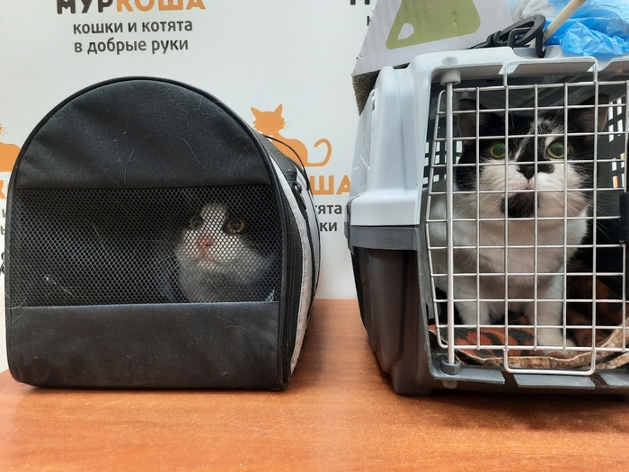 Иветти и Канкун за мгновение до отправления домой!