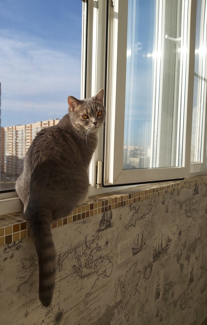 Не. Ну ты видел...