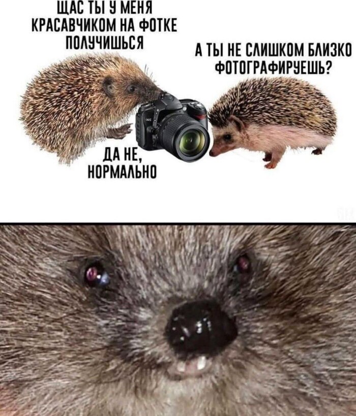 Ща всё будет