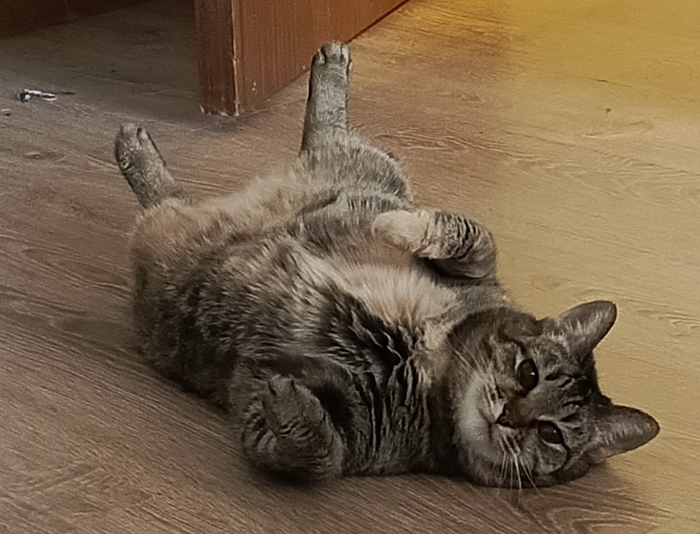 Ищу корешей