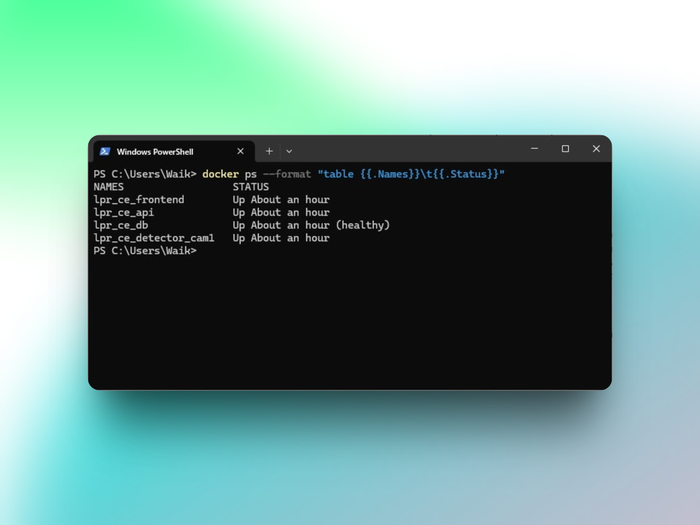 простой запуск с использованием docker compose