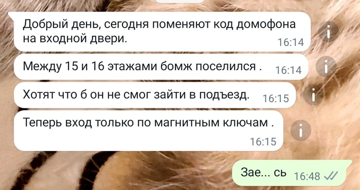 � ����?