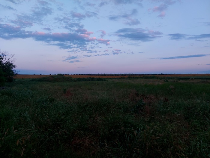 Вольные просторы