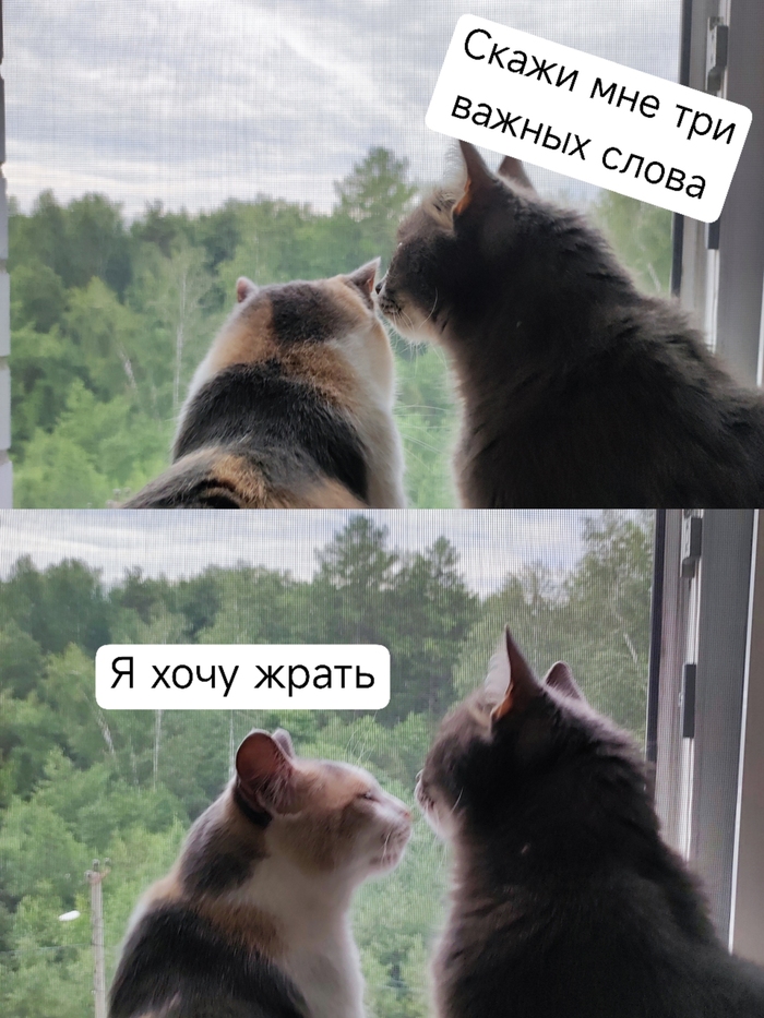 �����