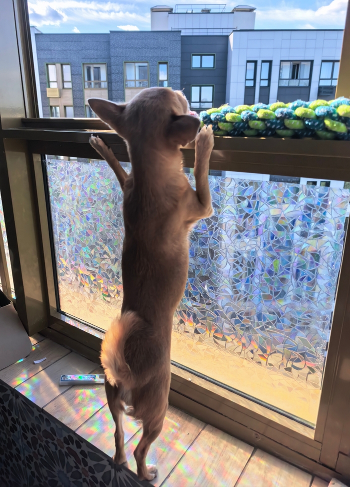 ����