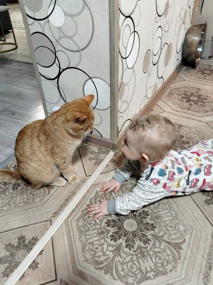 (Это не Йорик, это Рыжий, родительский)