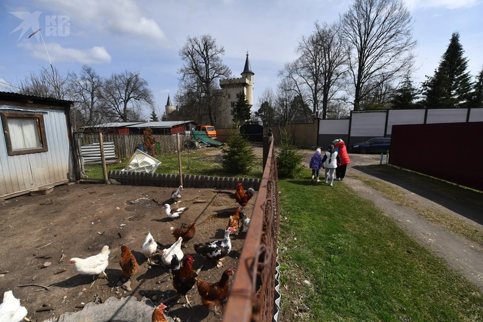 Alla Pugacheva was unable to sell her house in the Moscow region: Five reasons why the singer's husband, Maxim Galkin*, was left with an expensive burden in Gryazi. - Series Articles from the web, The property, Alla Pugacheva, Maksim Galkin, Property For Sale, Foreign agents, Moscow region, Restrictions, Negative, Politics, Advocate, Realtor, Longpost