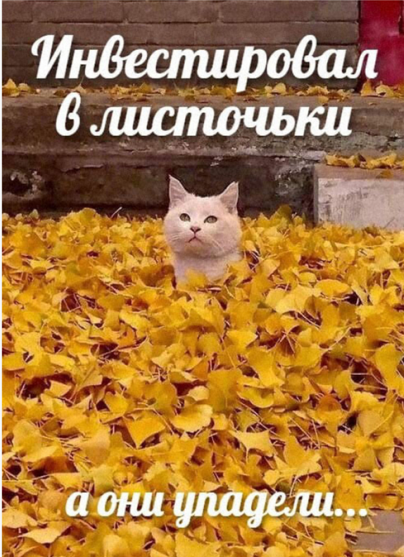 �������� Pro � �-�����: ��� ����, ������� � ������� � ���, ��� ���� �� ����������