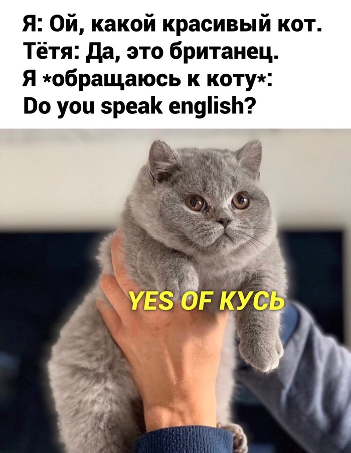 ������ ������ english