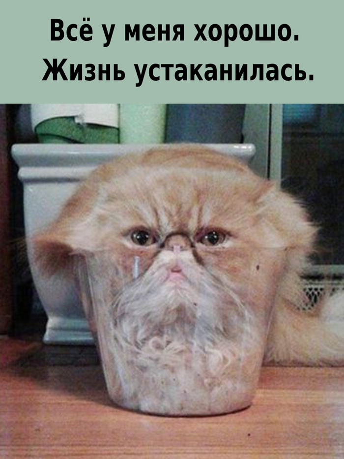 Когда всё хорошо и стабильно)
