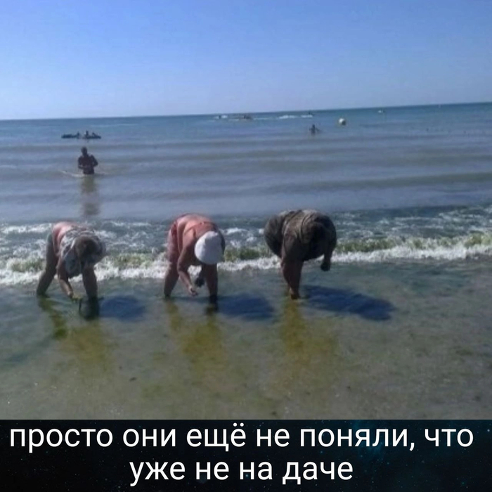 ��� ��� �� ����� �����...