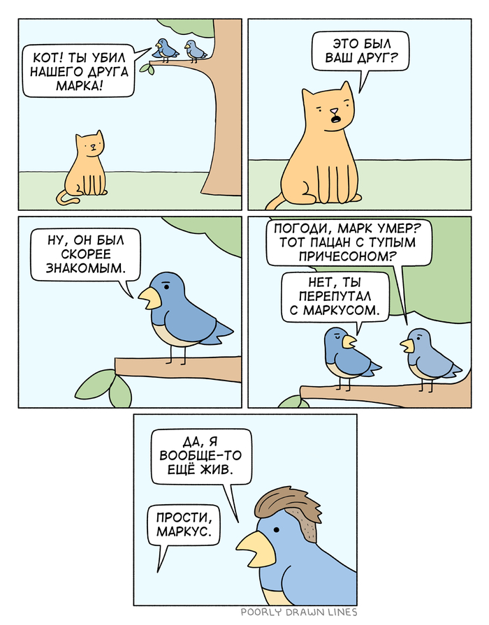 ��� ����