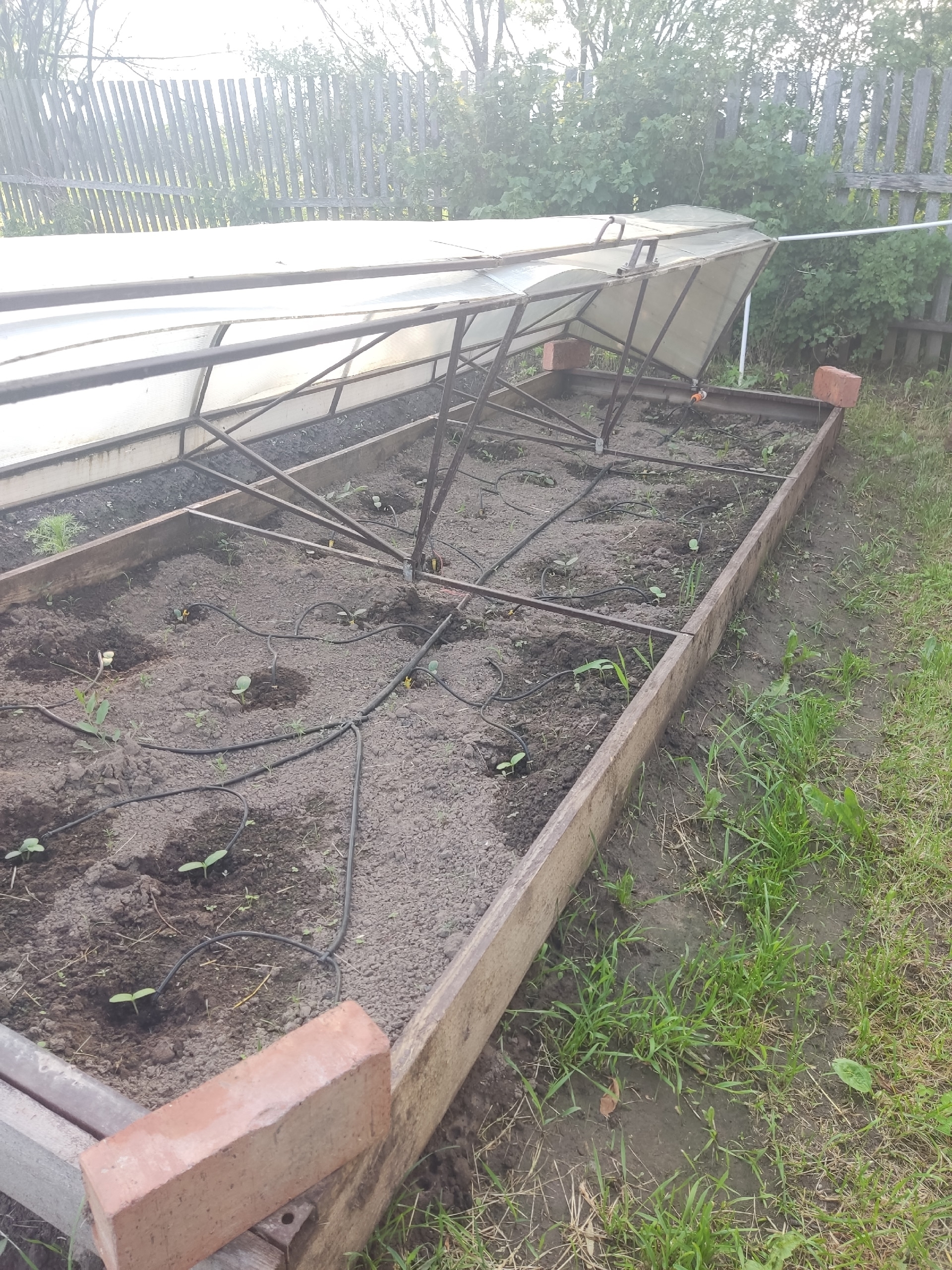 Automation of watering on ESPhome - My, Home assistant, Esp8266, Google chrome, Longpost