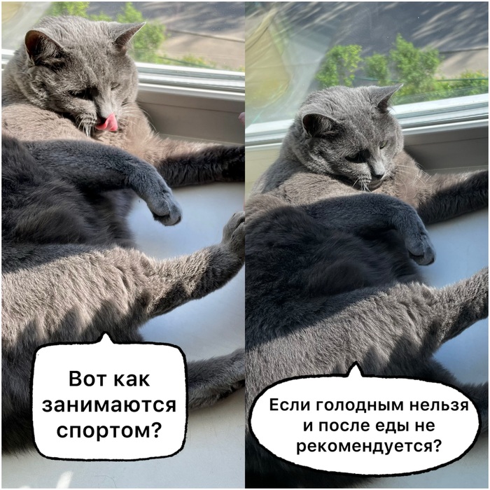 �� ������ ������� �����������. � ��� �� � ���� �� ���� ����������)