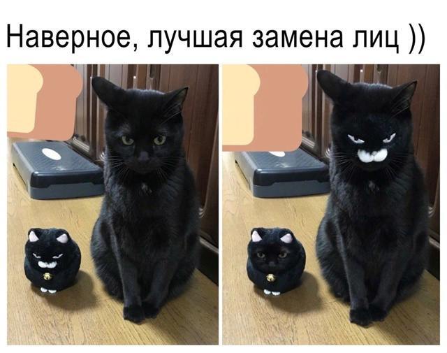 ���� ���