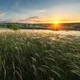 Аватар пользователя blackdreams