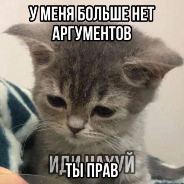 ����� ������� ���������
